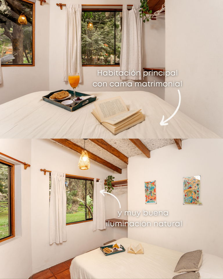 Bungalow 19: foto 4