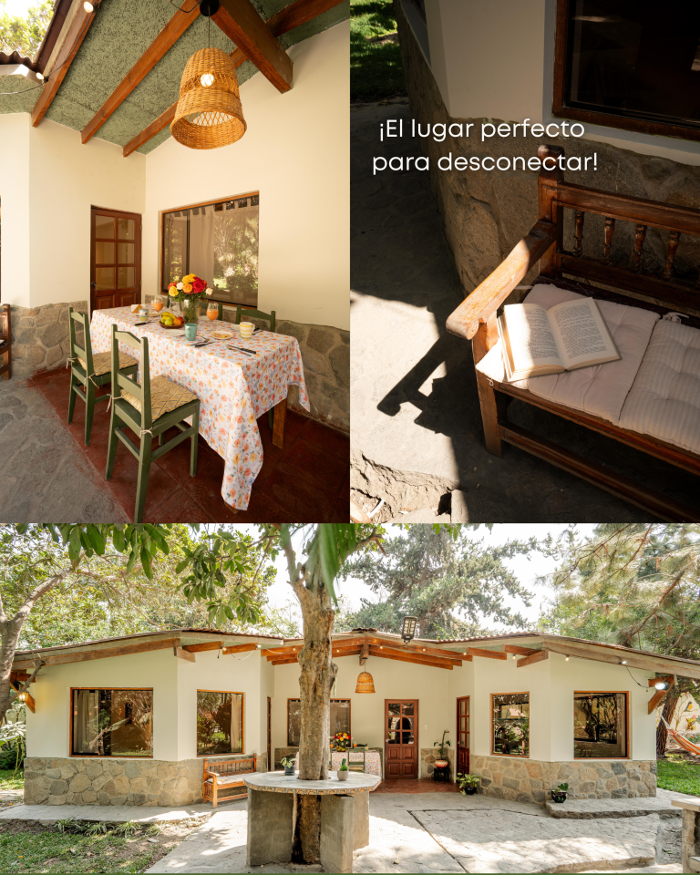 Bungalow 19: foto 7