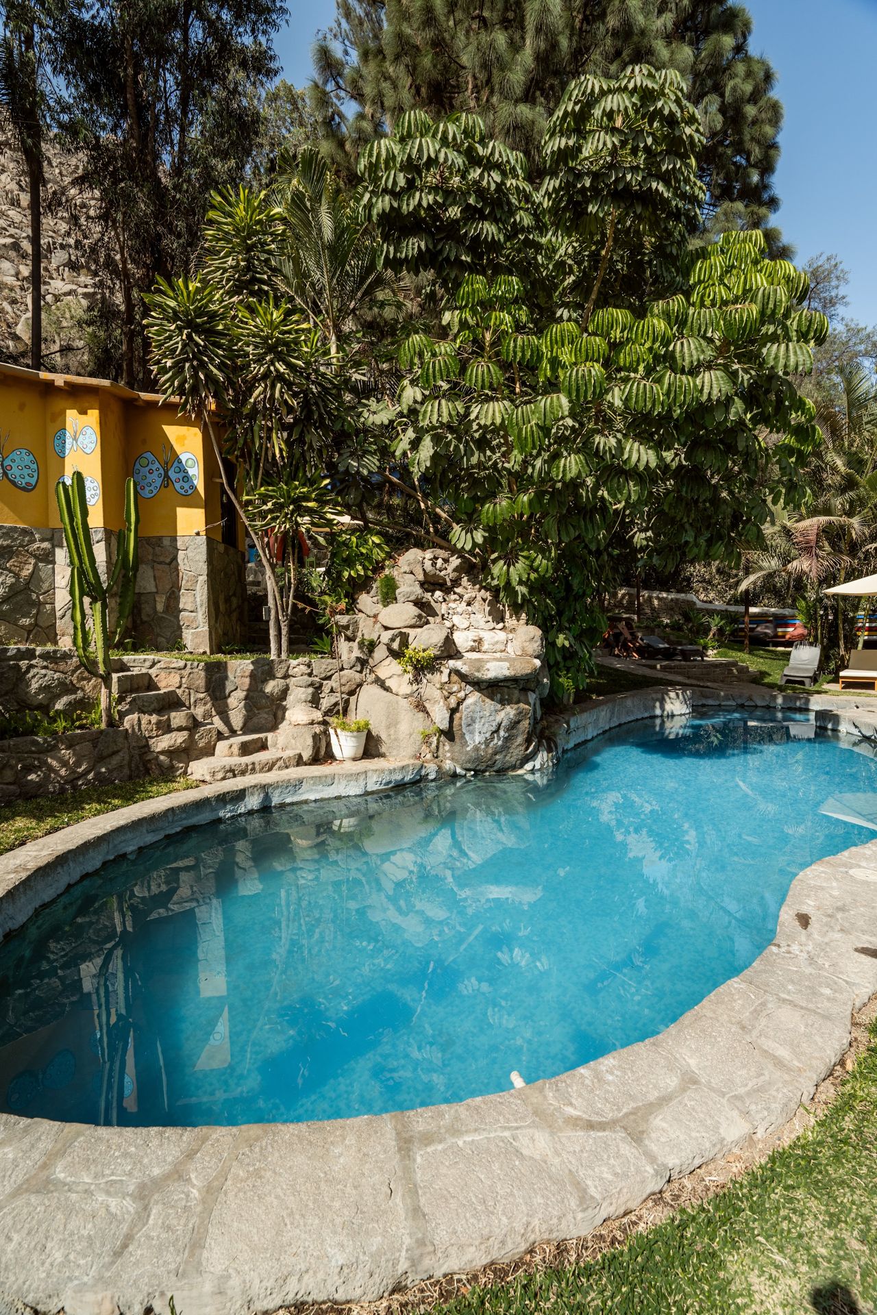 Piscina con cascada de rocas y vegetación